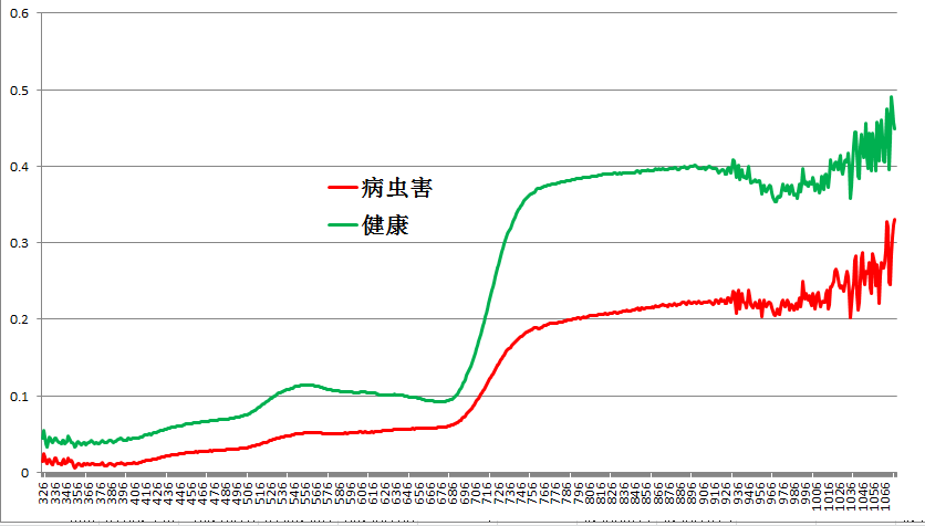 健康與病蟲(chóng)害光譜特征曲線(xiàn)比對(duì).png
